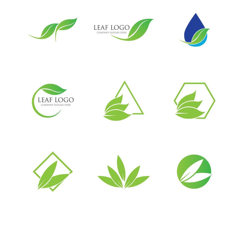 Logos of green leaf ecology nature element vector icon