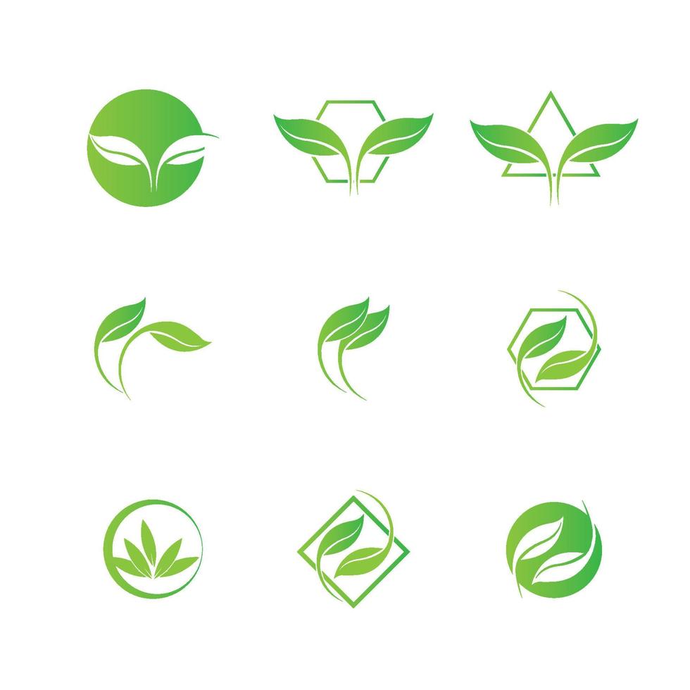 Logos of green leaf ecology nature element vector icon