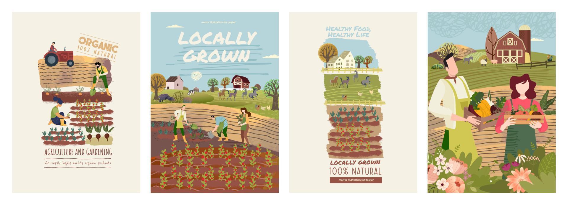 conjunto de plantillas de carteles de alimentos orgánicos. ilustraciones vectoriales sobre el tema de la producción de alimentos orgánicos, jardinería, agricultura, agricultura. conceptos de fondo, portadas de folletos, material de marketing. vector