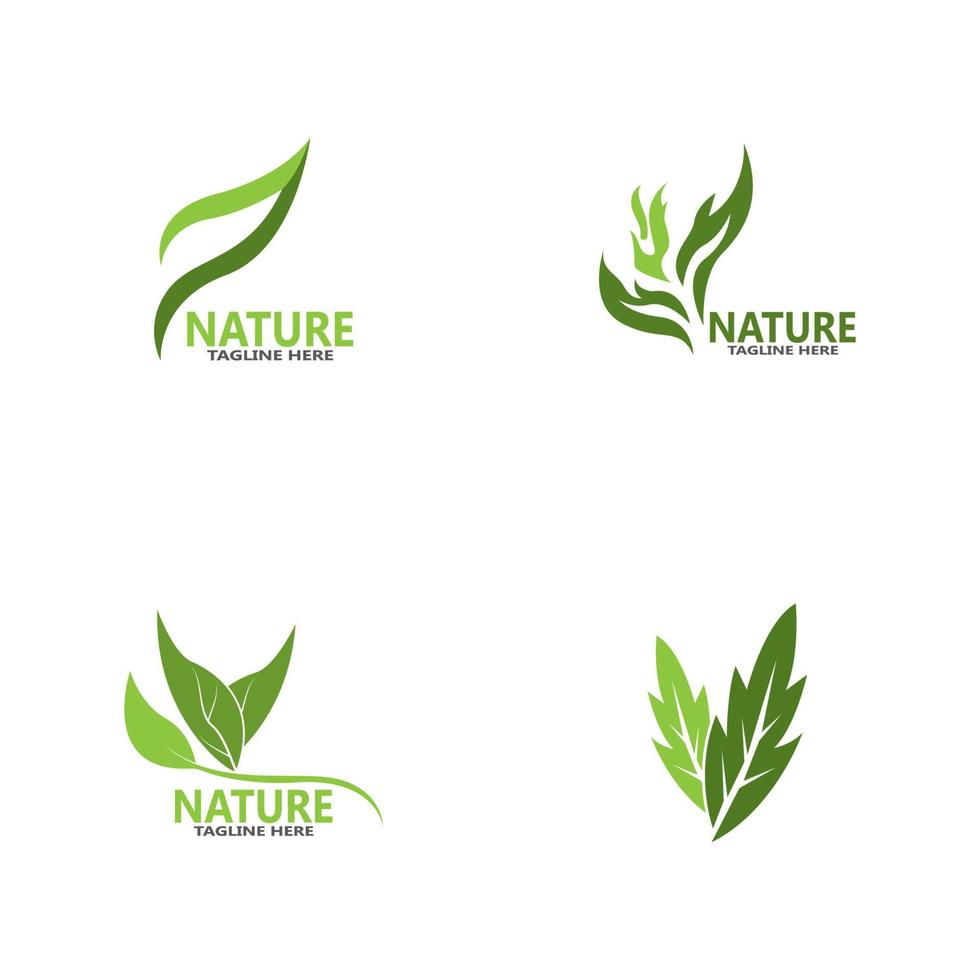 vector de plantilla de icono y símbolo de hoja de naturaleza
