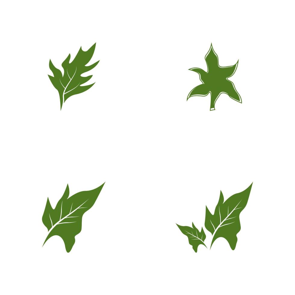 Nature leaf icon and symbol template vector