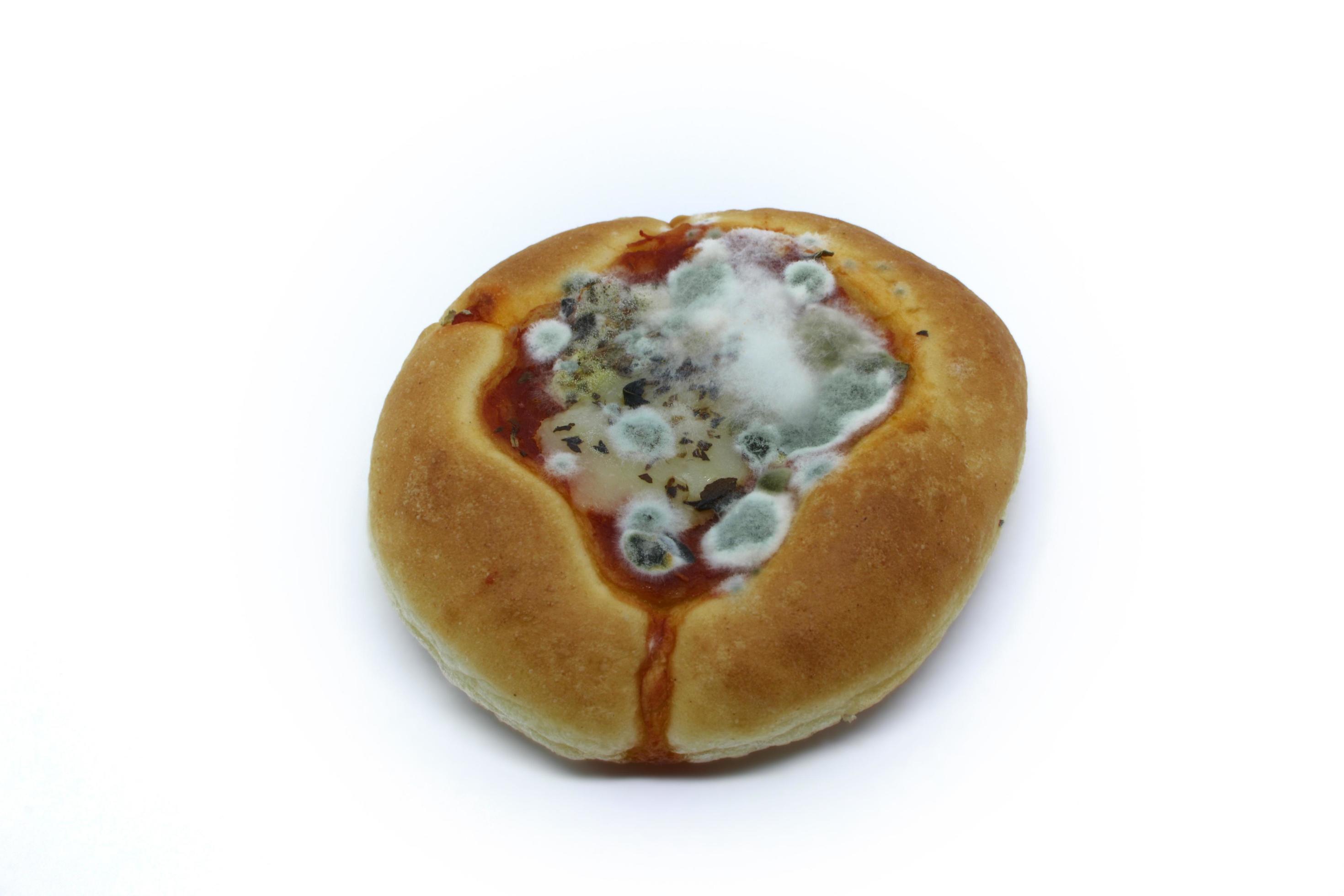 Moldy pizza isolated on white background. 4349992 Stock Photo at Vecteezy