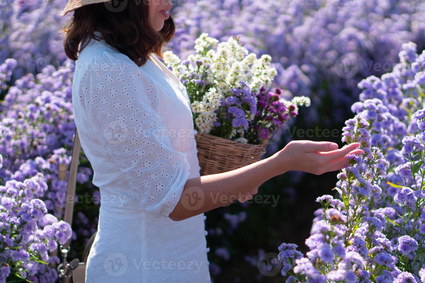 young woman wearing straw hat and white dress. She carrying flower basket and walking in margaret flower field in summer photo