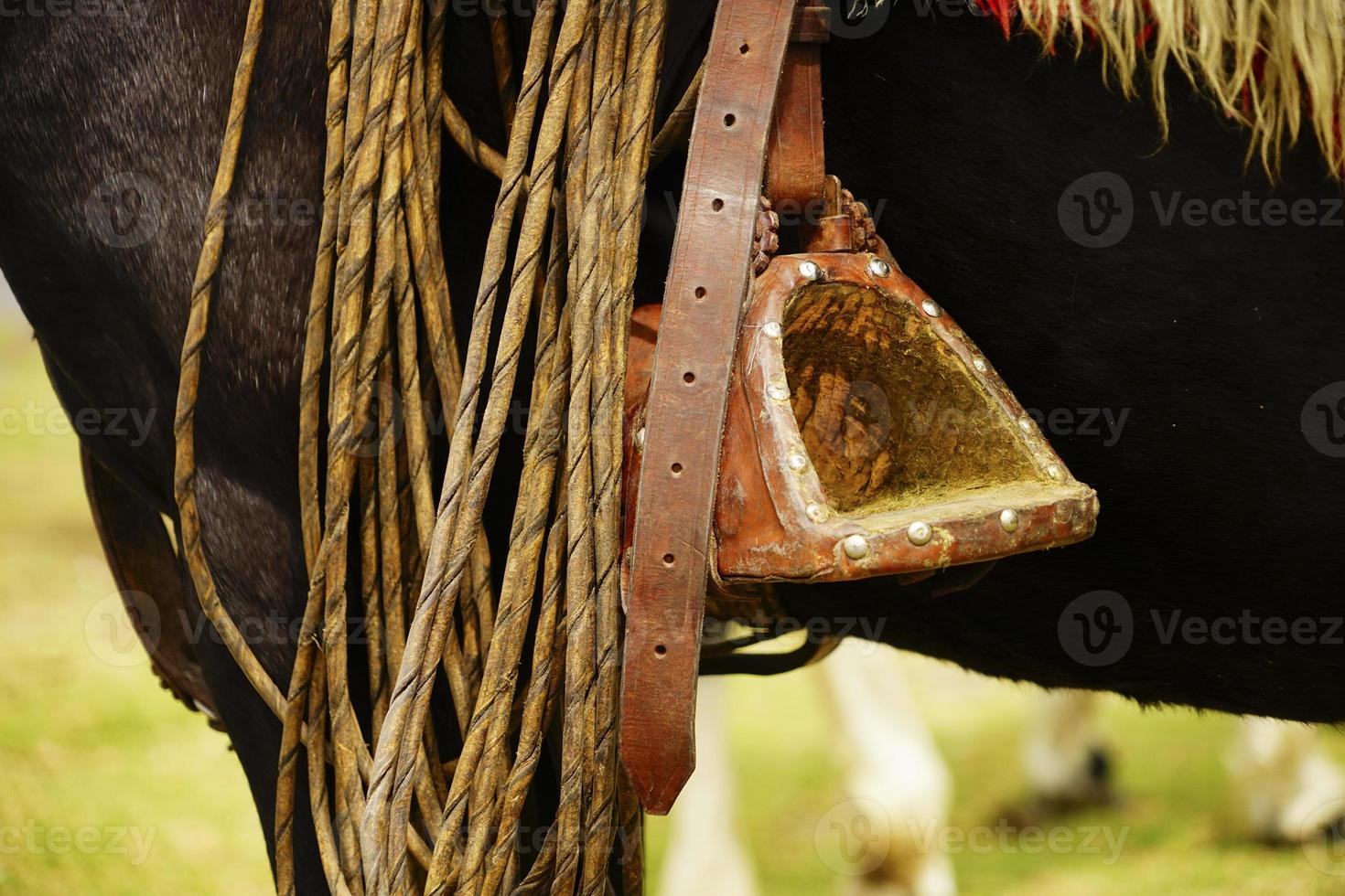 The stirrup of a horse. photo