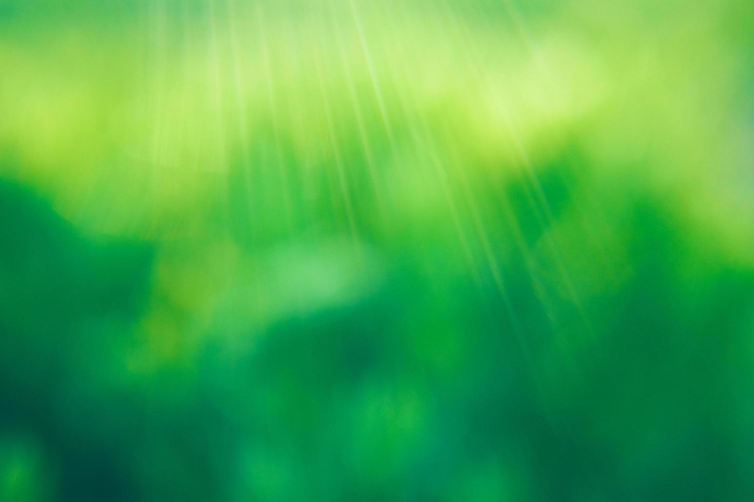 green blur background photo