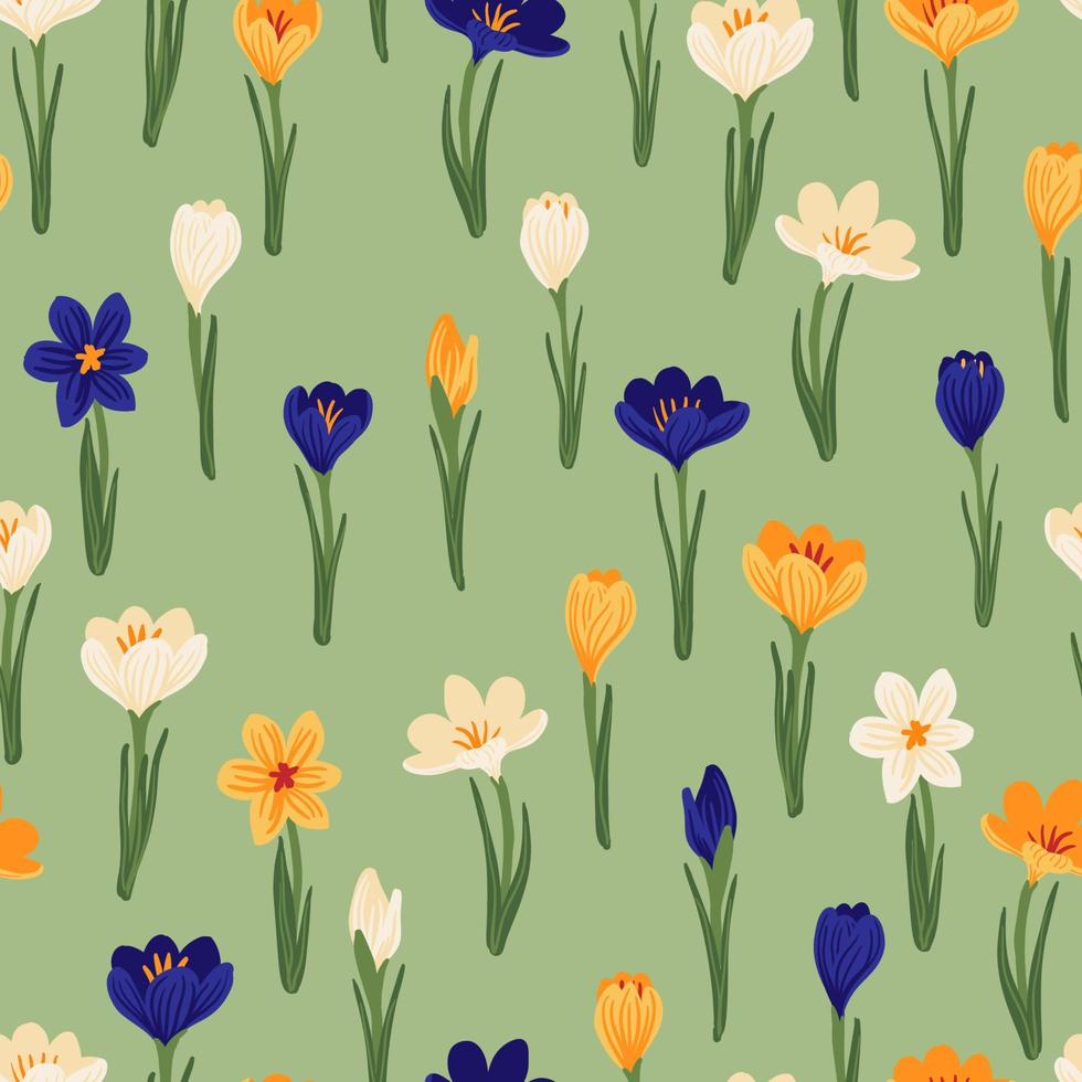 Spring flower crocus, saffron floral seamless pattern. vector