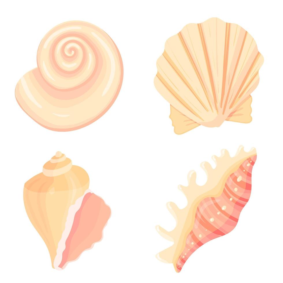 Set of conch flat Illustration. Colorful tropical shell collection. vector