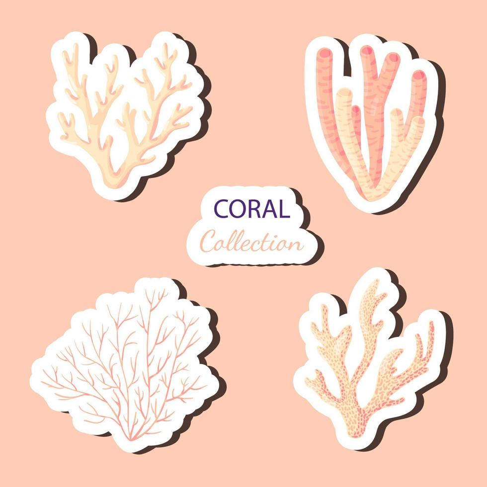 conjunto de pegatinas de coral dibujadas a mano vector