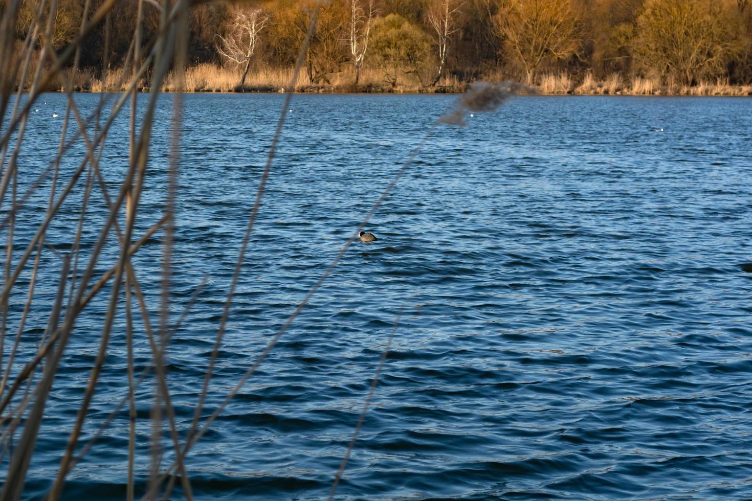 river in autumn photo