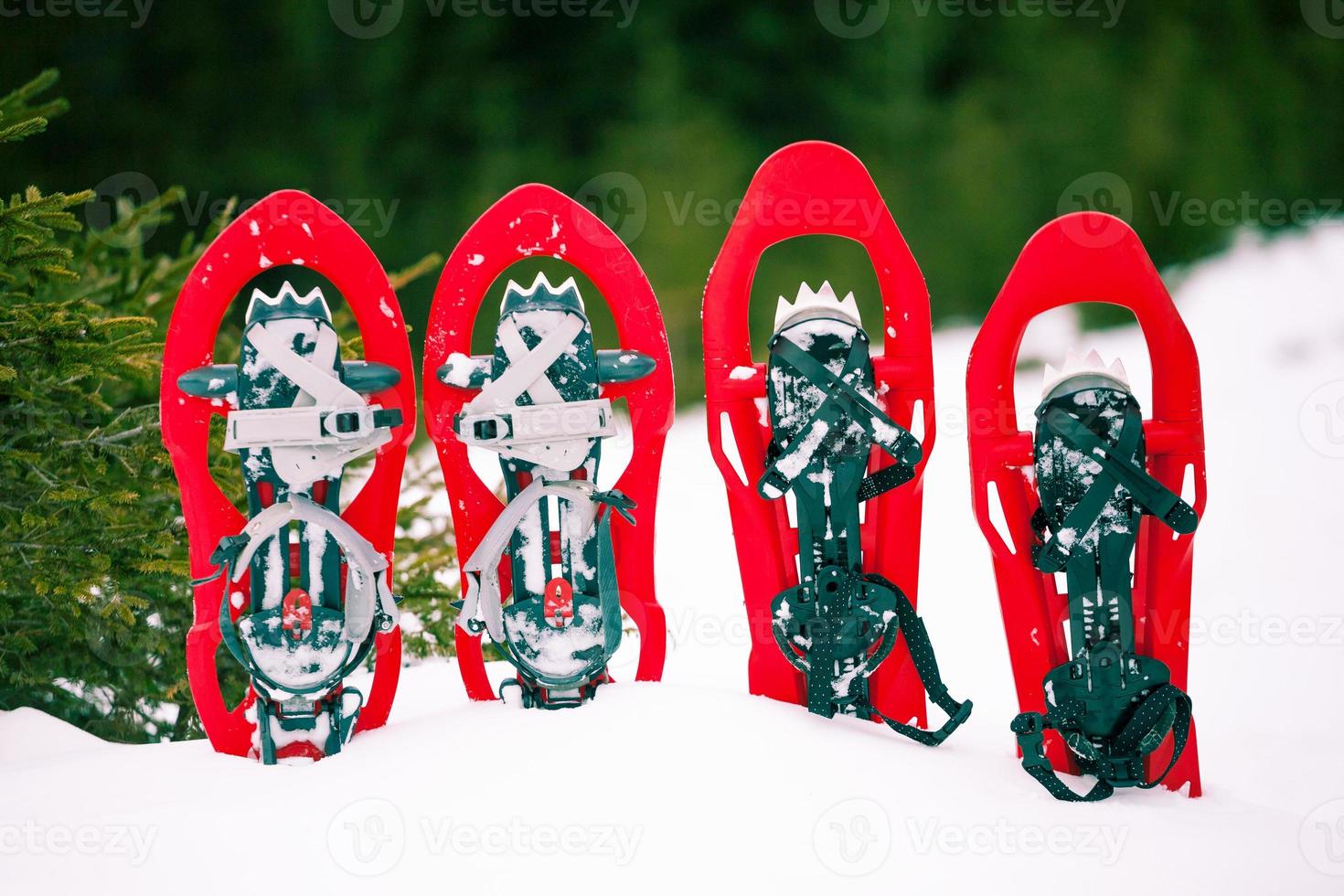 Snowshoes for tracking in winter. photo