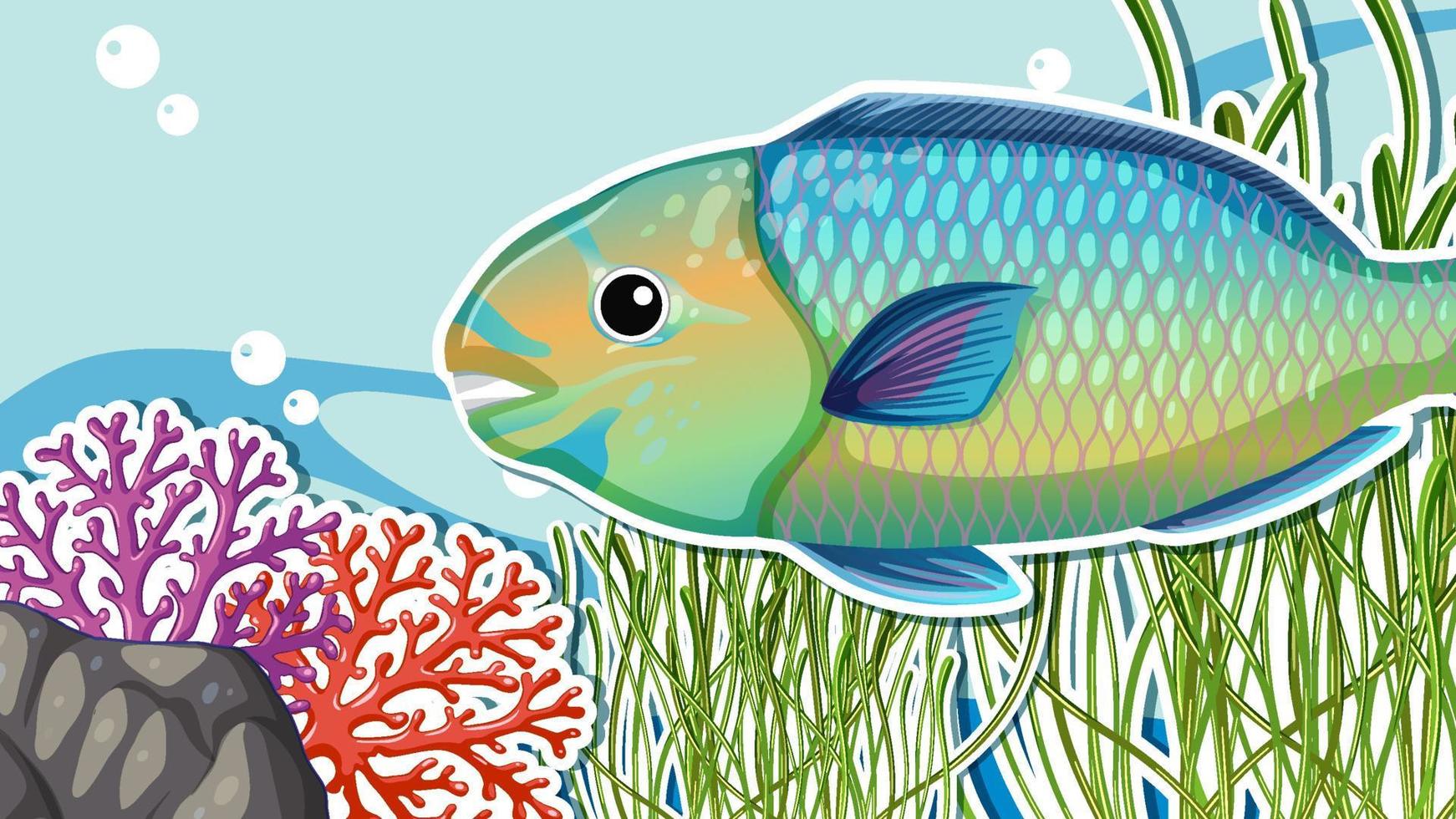 Thumbnail design with parrot fish in the sea vector