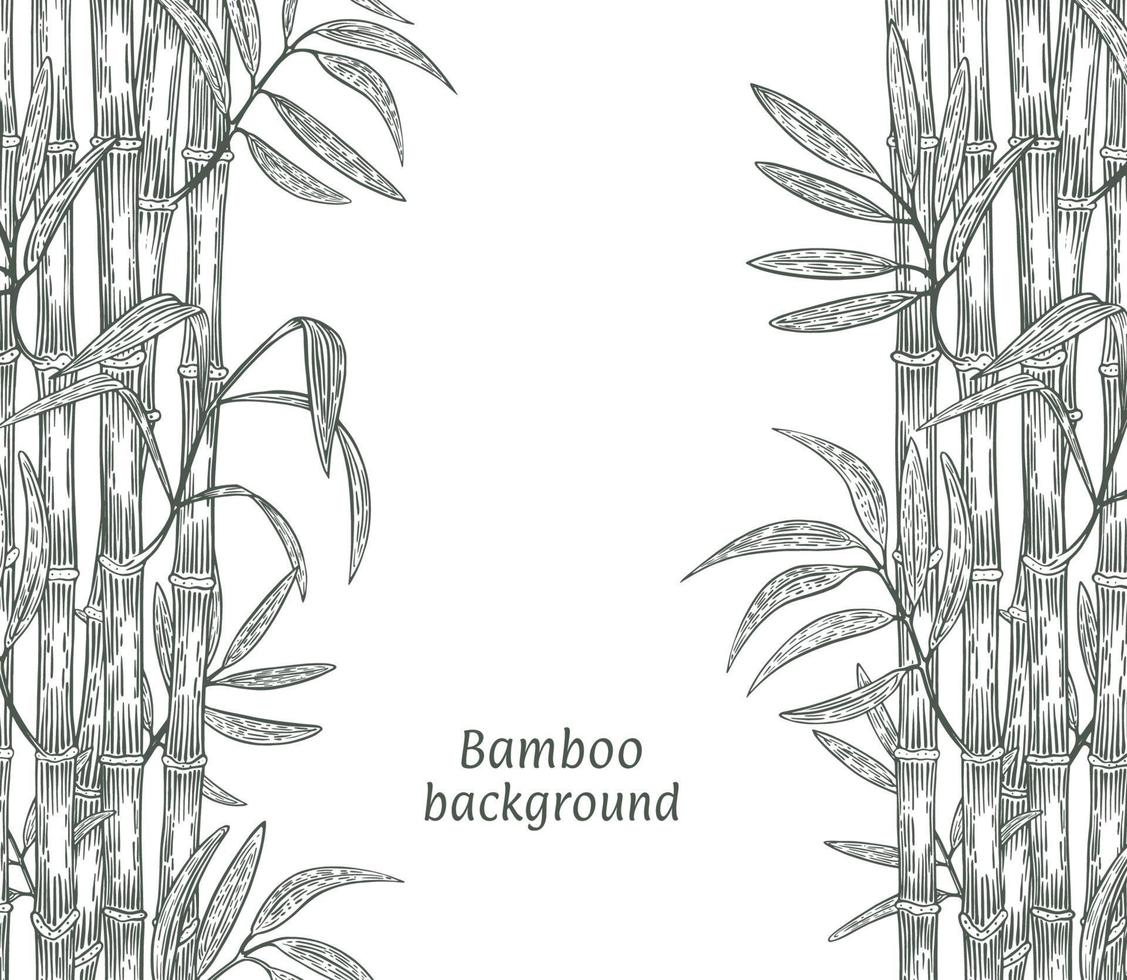 Frame made of bamboo branches. Ink sketch on a white background, engraved on both sides. Vector illustration.