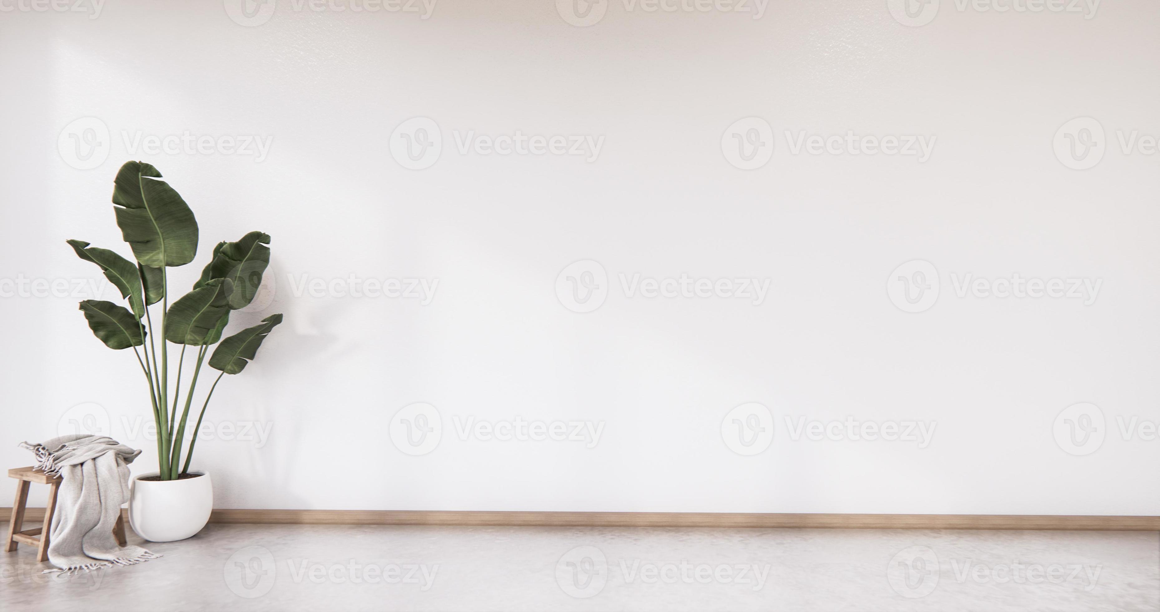 Interior with plants on empty wall background,3D rendering 4365646