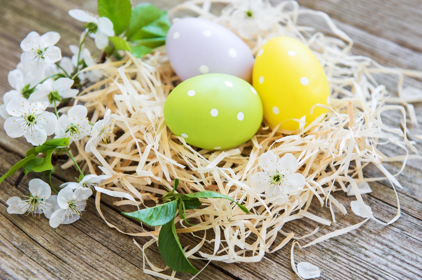 Nest with easter eggs photo