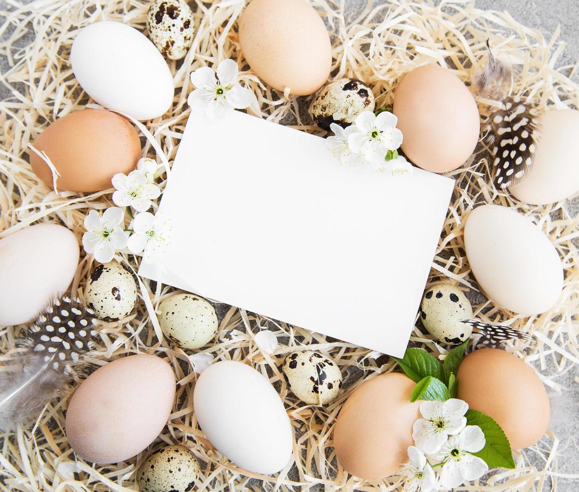 huevos de pascua y tarjeta de felicitación foto