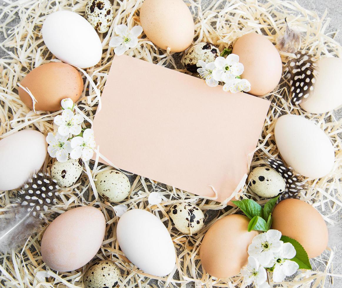 Easter eggs and greeting card photo