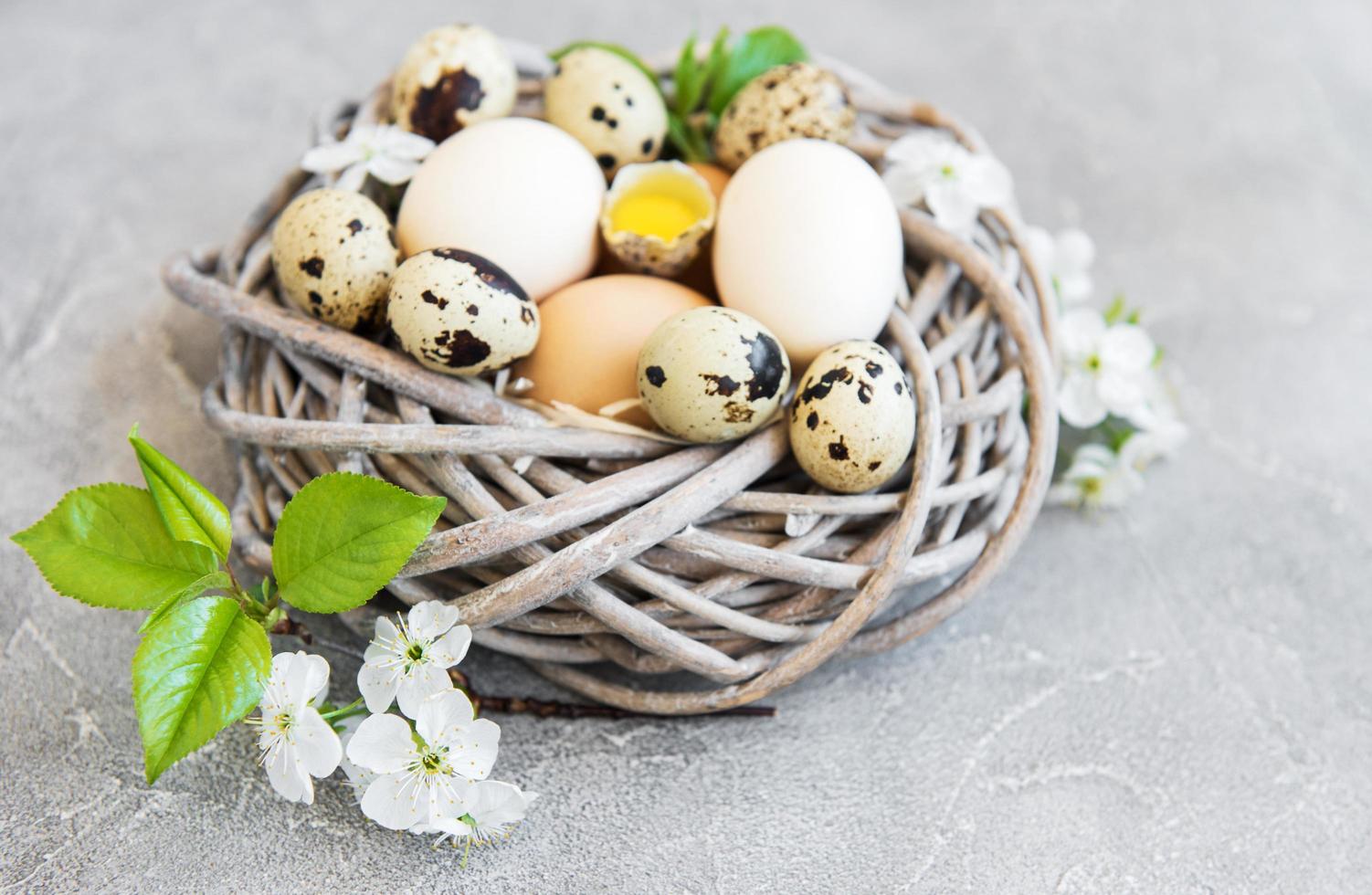 Nest with chicken and quail eggs photo