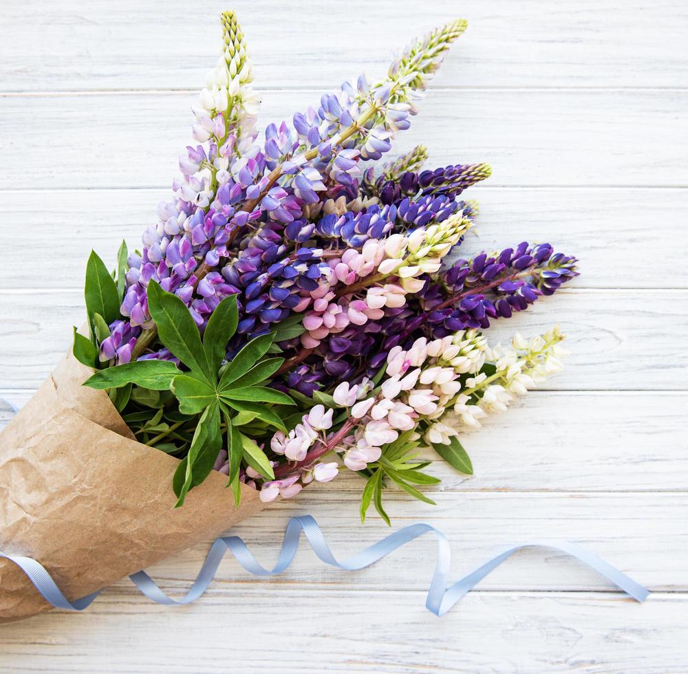 Pink and purple lupine flowers border photo