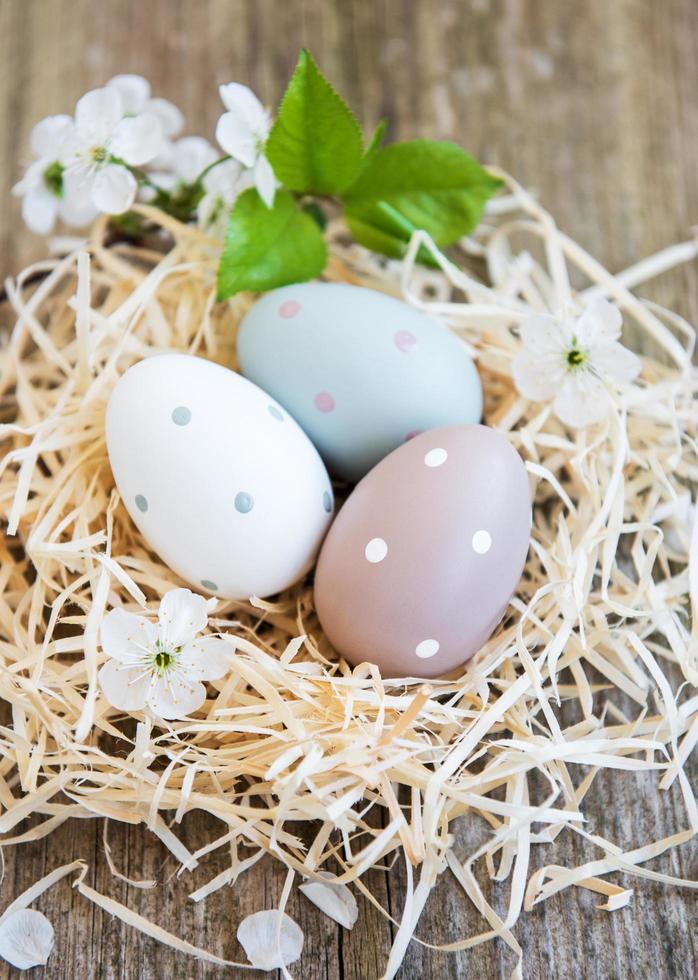 Nest with easter eggs photo