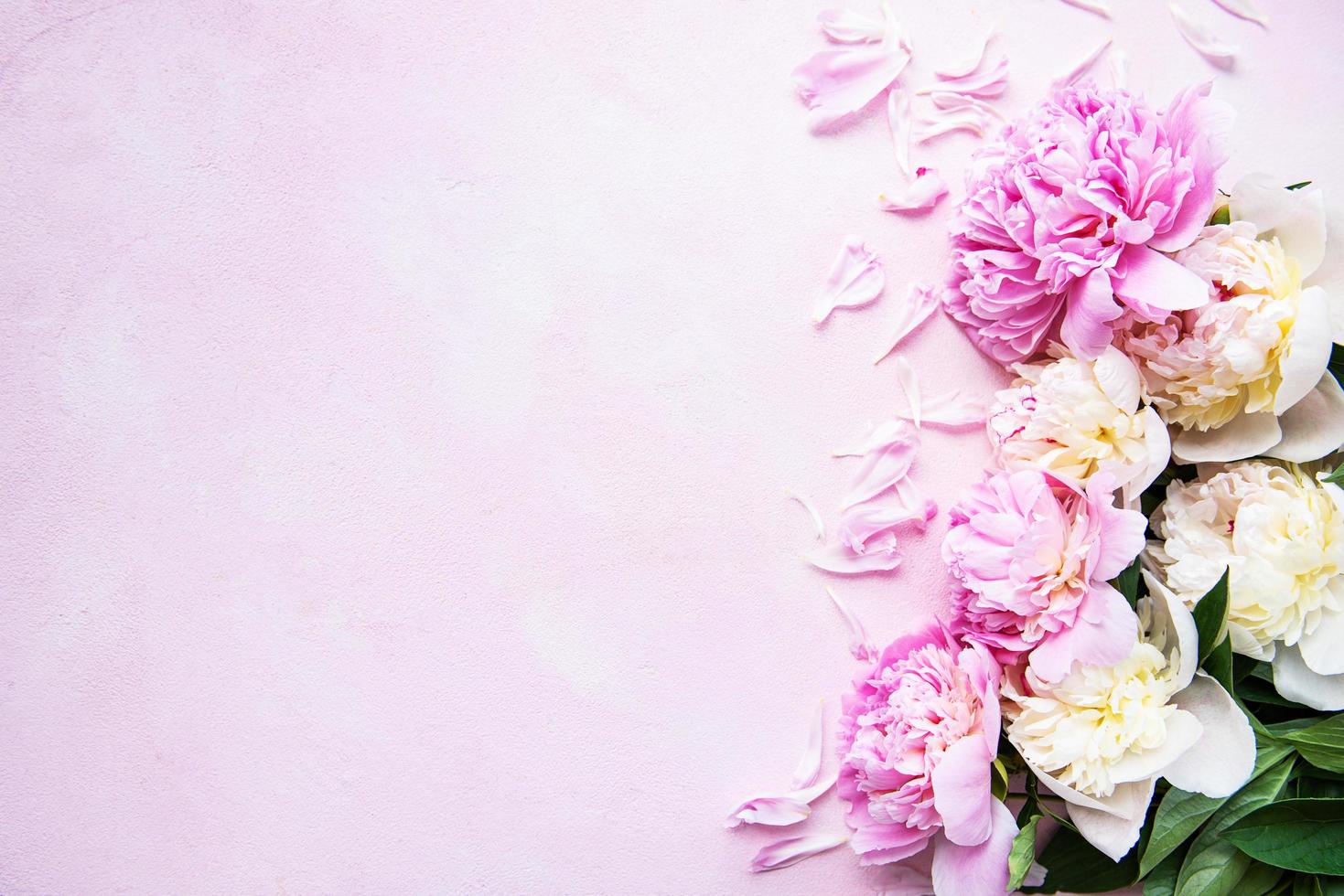 Background with pink peonies photo