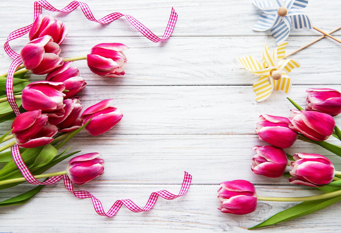 Pink spring tulips photo