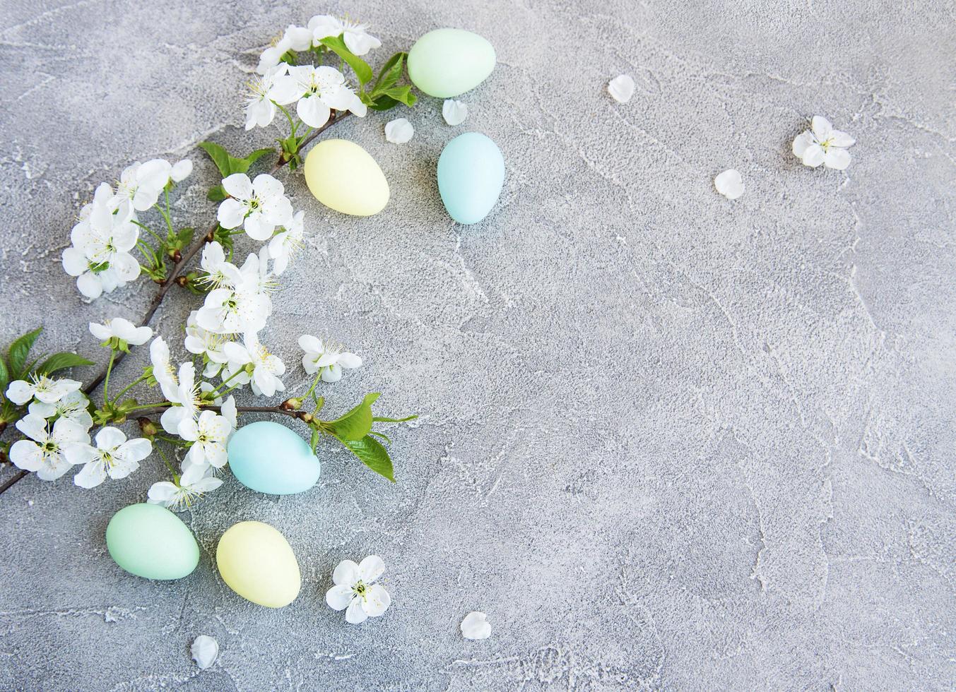 Easter eggs and Spring cherry blossom photo