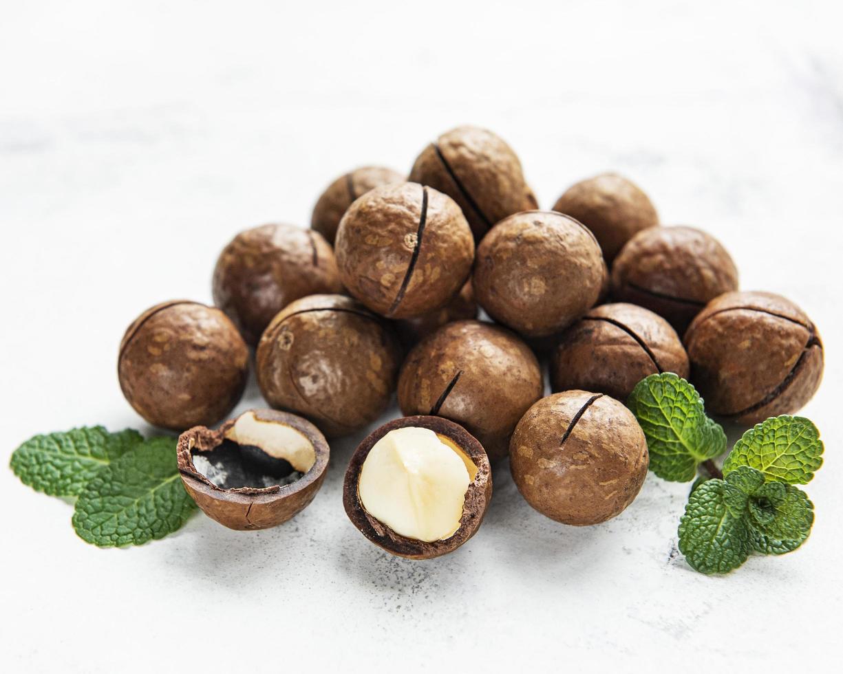 Organic Macadamia nuts photo