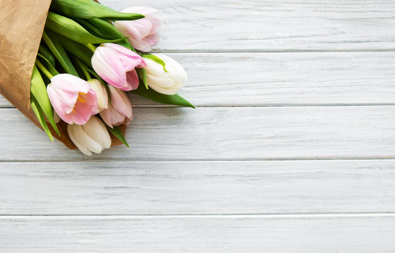 Pink spring tulips photo