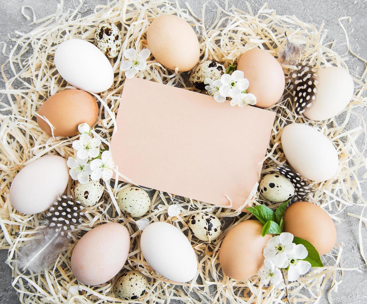 Easter eggs and greeting card photo