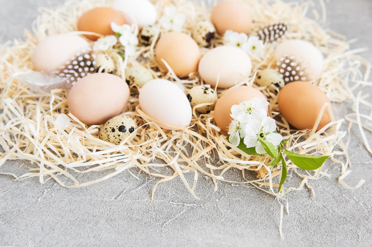 Nest with chicken and quail eggs photo