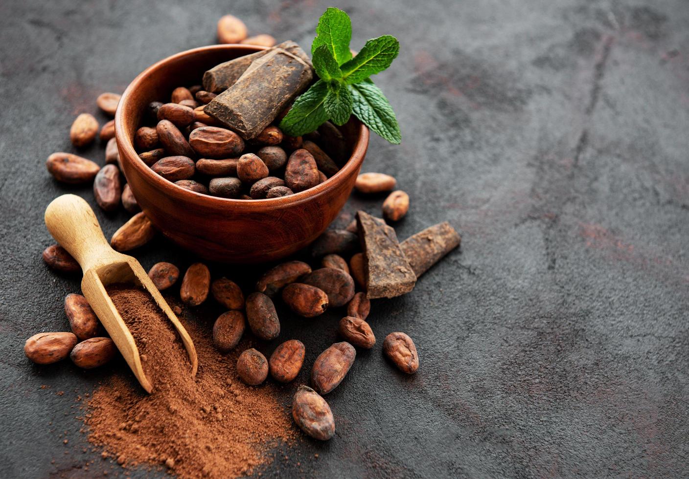 Cocoa beans and powder photo