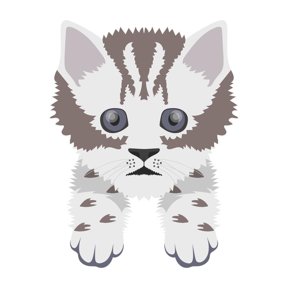 Trendy Kitten Concepts vector
