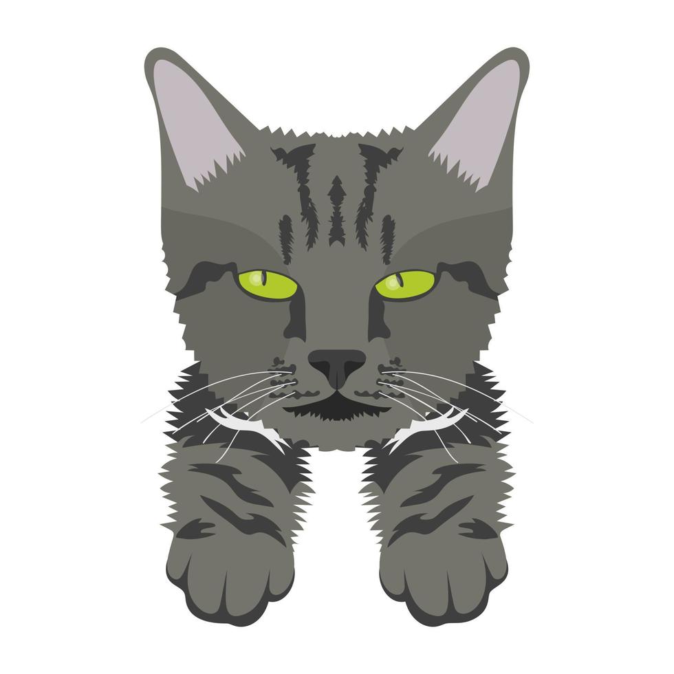 Trendy Wildcat Cocepts vector