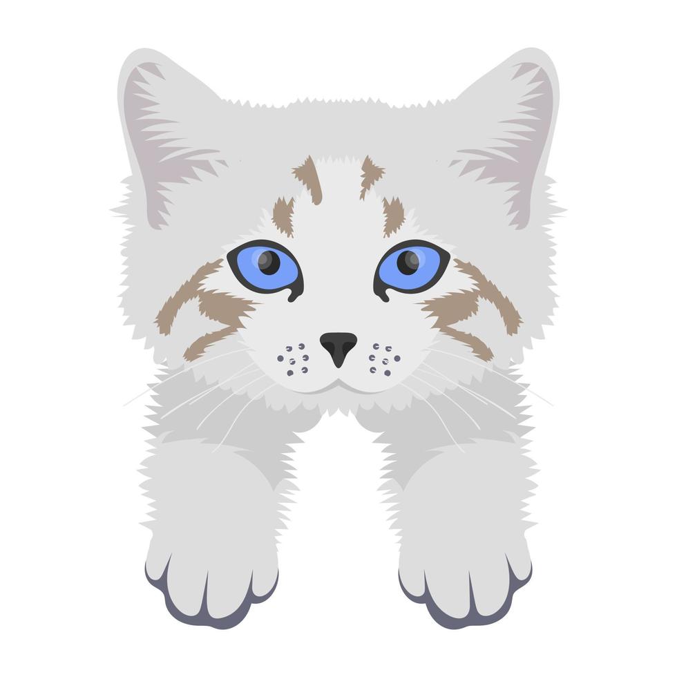 Trendy Persian Concepts vector