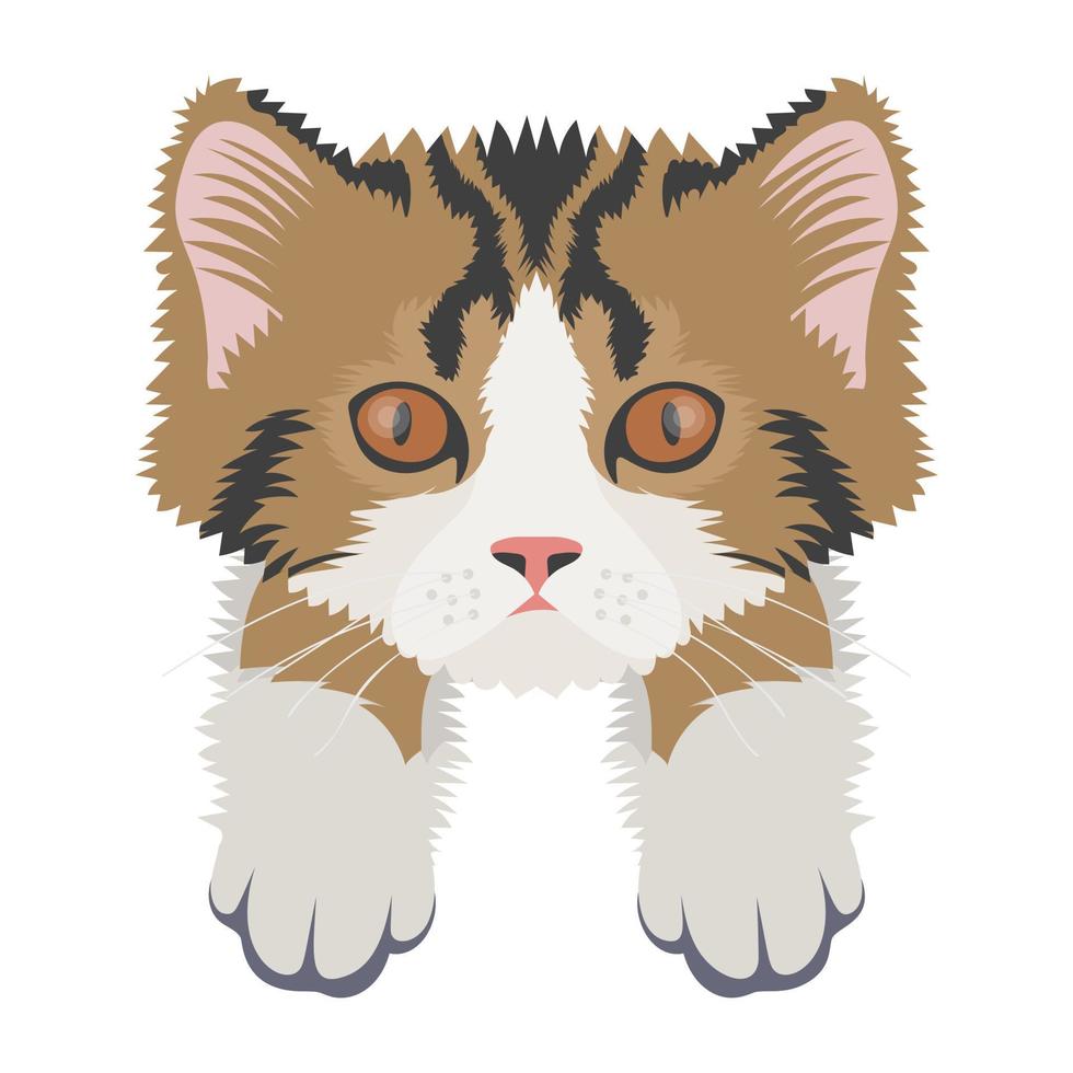 Toyger Cat Concepts vector