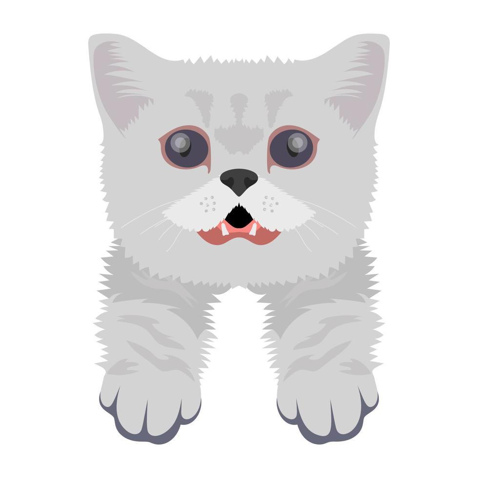Trendy Persian Concepts vector