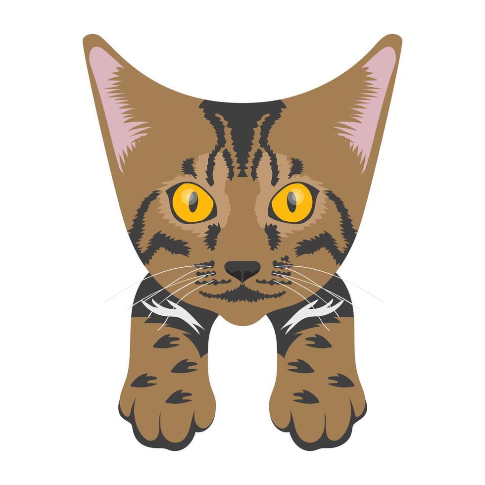 conceptos de moda de tigercat vector