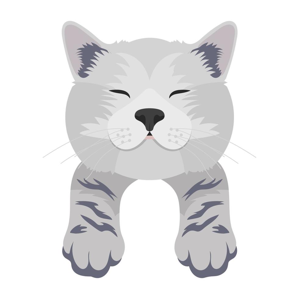 Cartoon Cat Concepts vector
