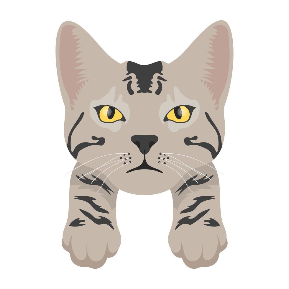 Pet Cat Concepts vector