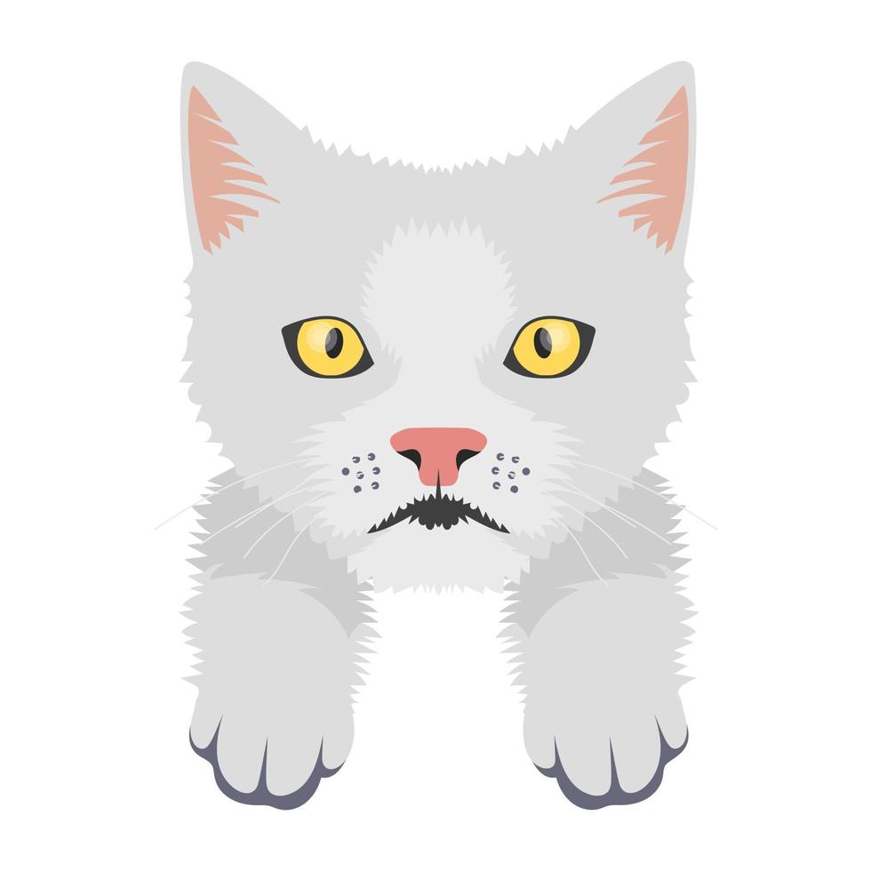 gato de dibujos animados de moda vector