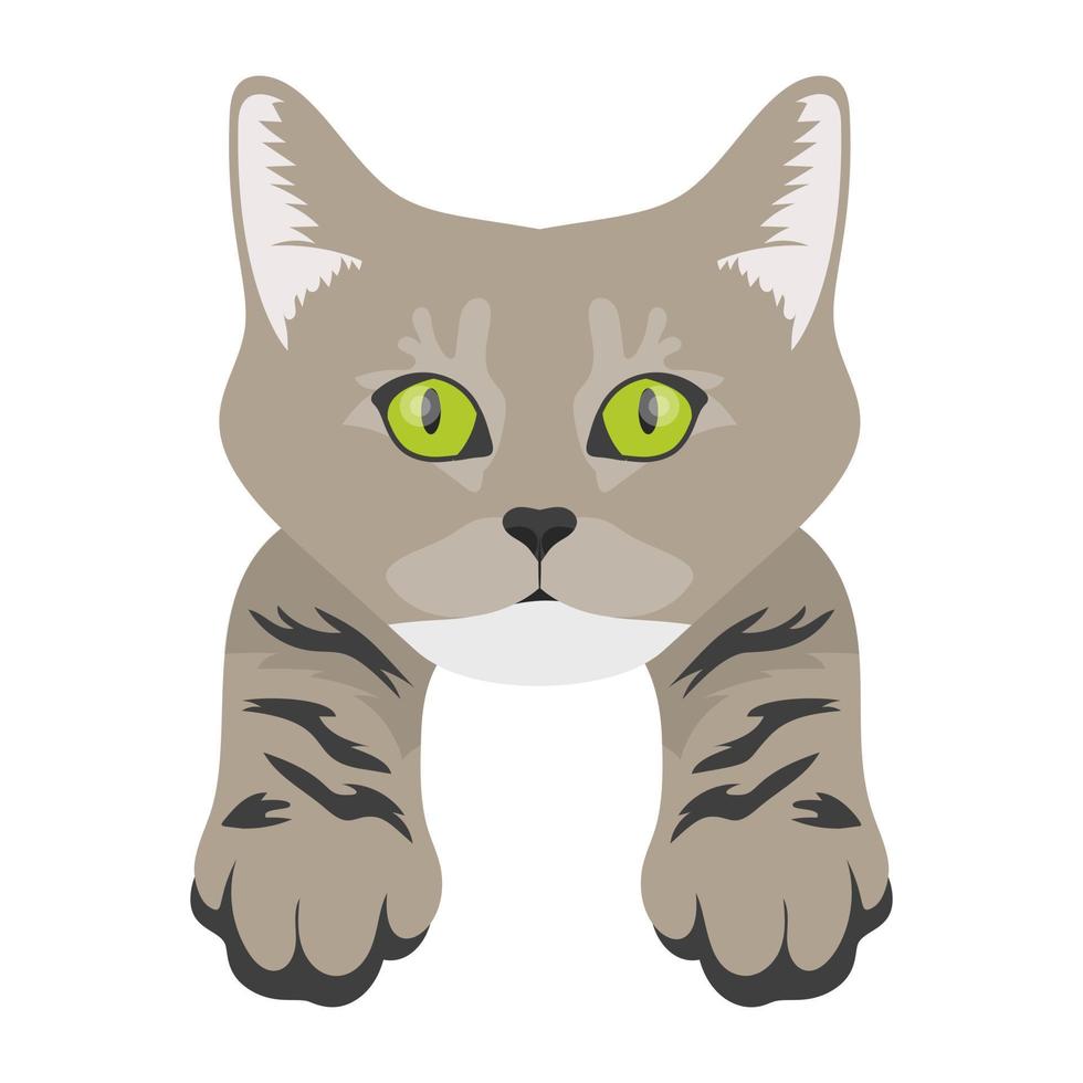 conceptos de gato cruzado vector