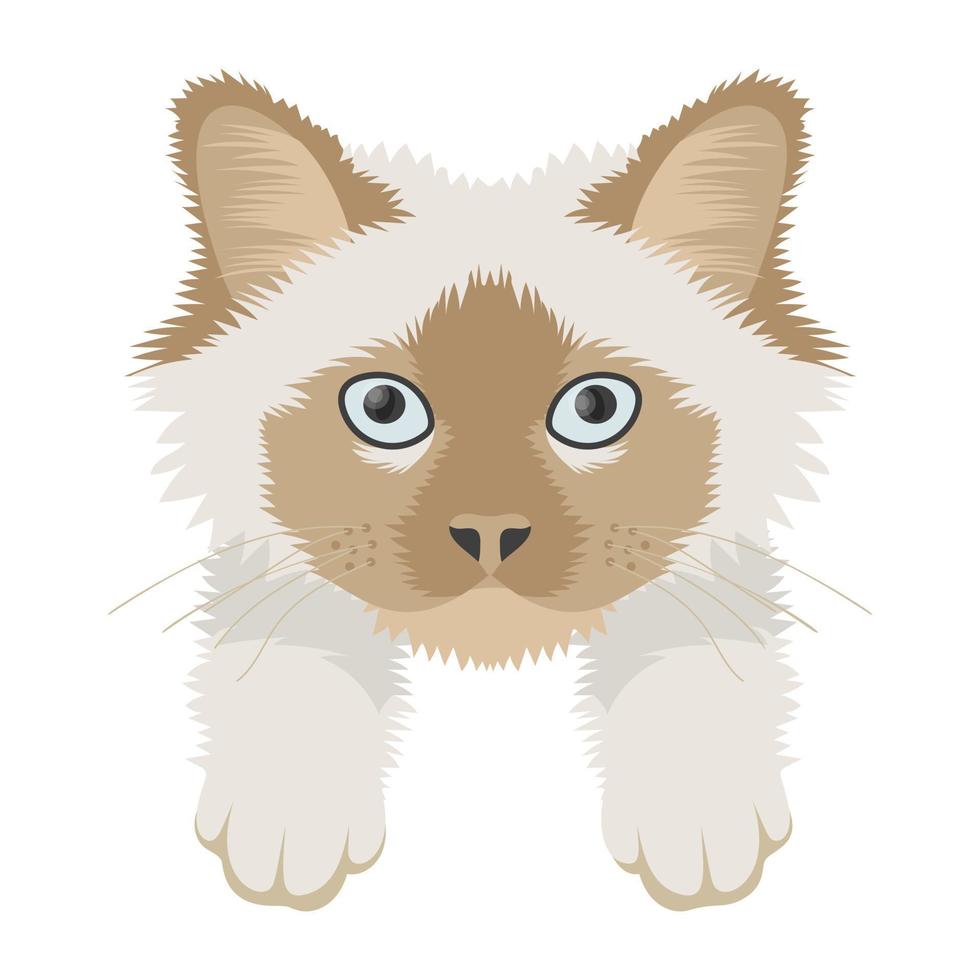 conceptos de gato nevado vector