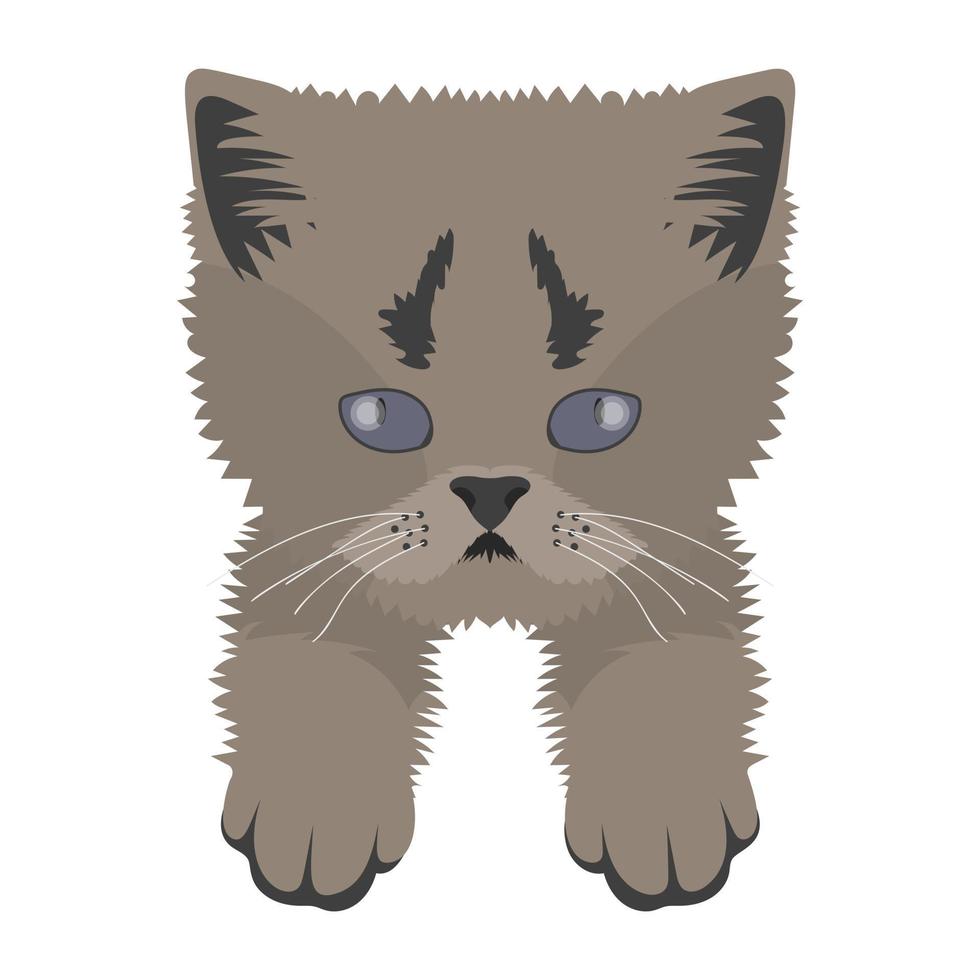 Trendy Wildcat Concepts vector