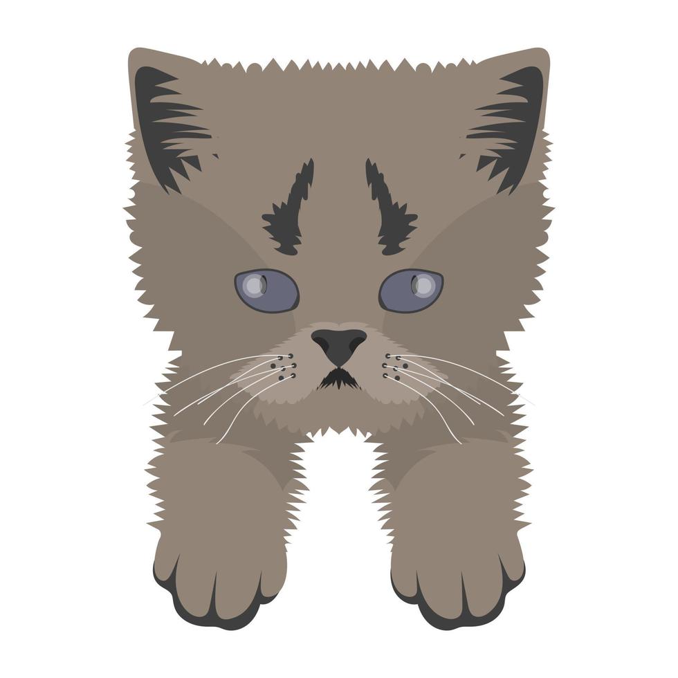 Trendy Wildcat Concepts vector