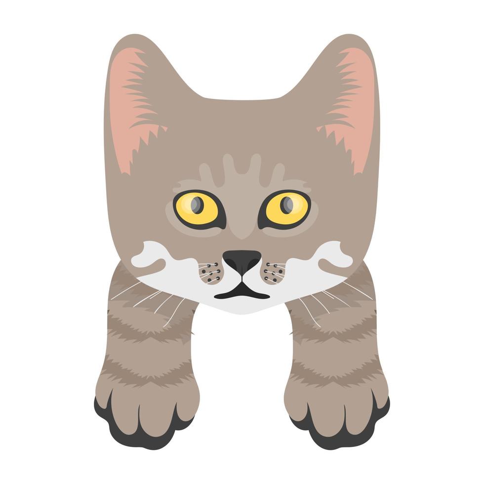 Forest Cat Concepts vector