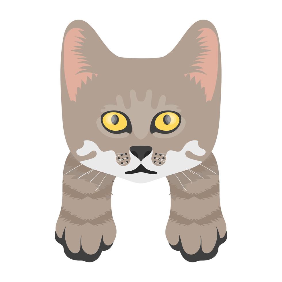 conceptos de gato del bosque vector