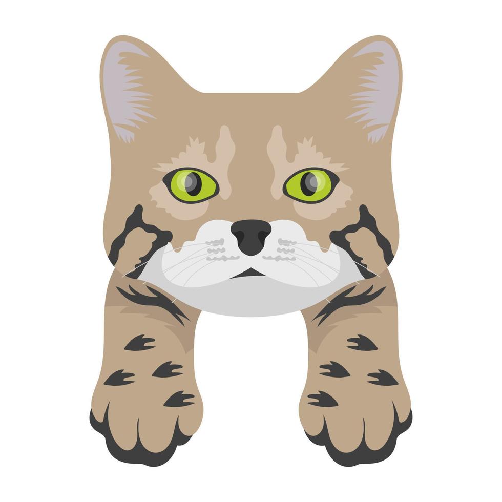 Pet Cat Concepts vector