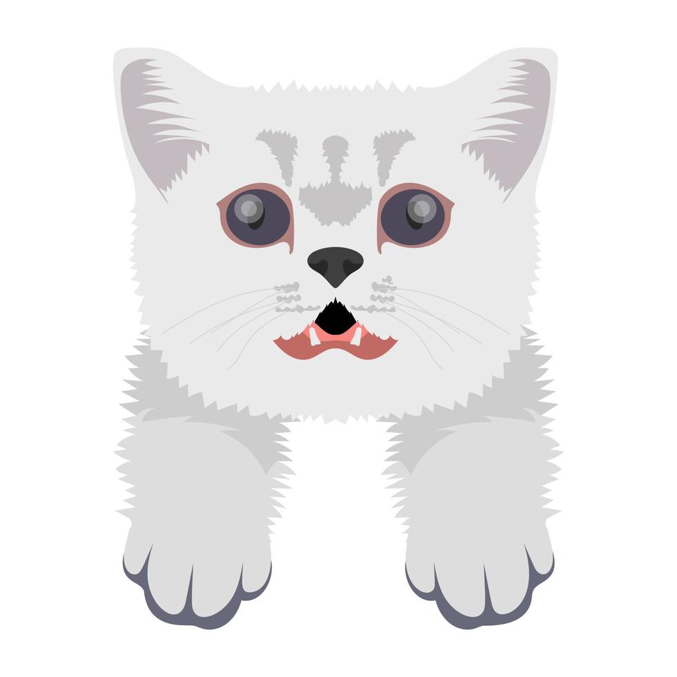 conceptos de gato de dibujos animados vector