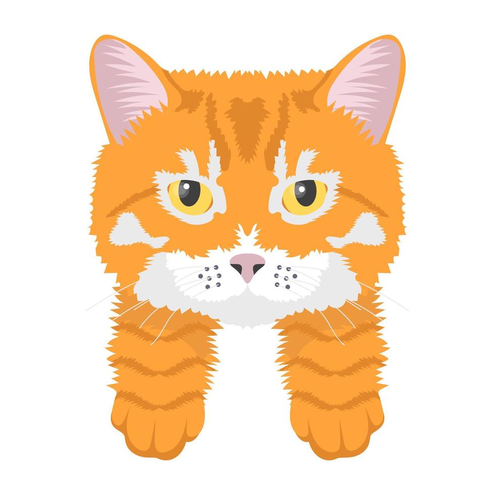 Fat Cat Concepts vector