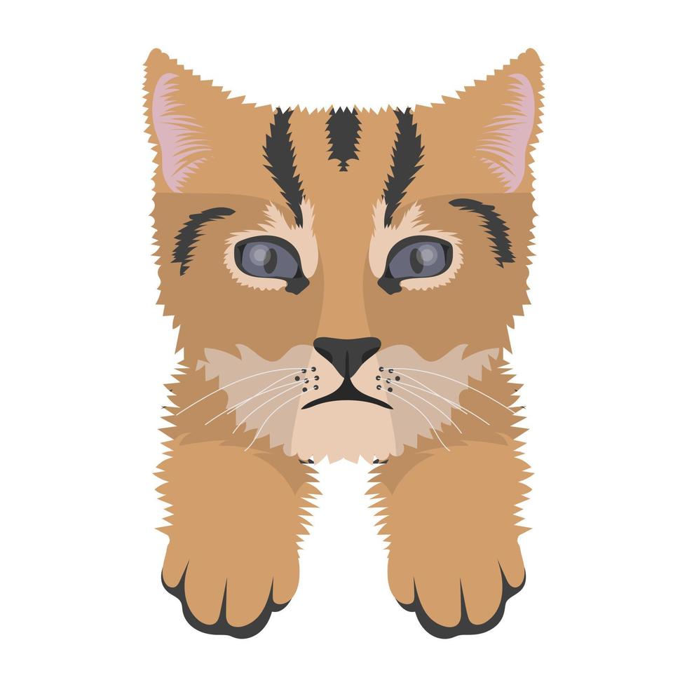 conceptos de gato mascota vector